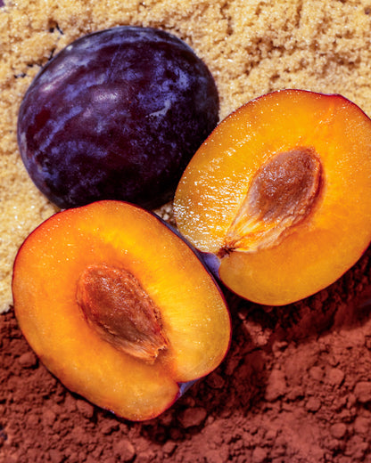 Blend - Medium Roast